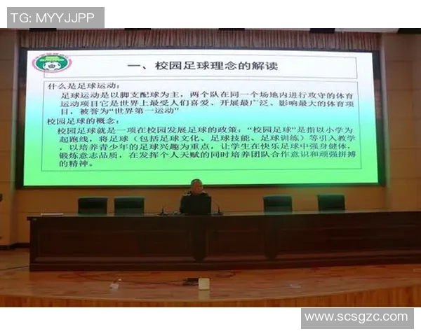 长沙体育足球的崛起与发展探讨及其对地方经济的影响分析